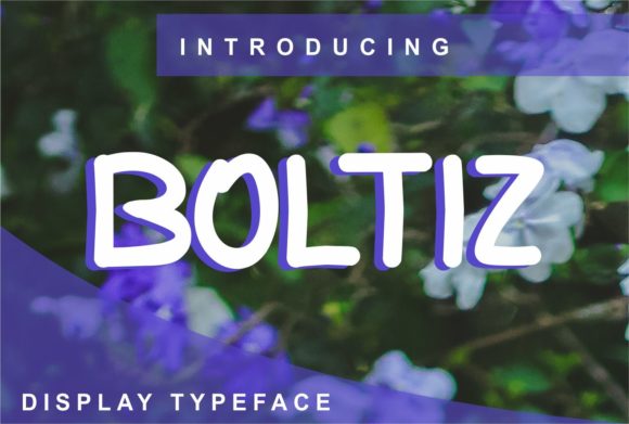 Boltiz – A Clean Display Font for Modern Web Design
