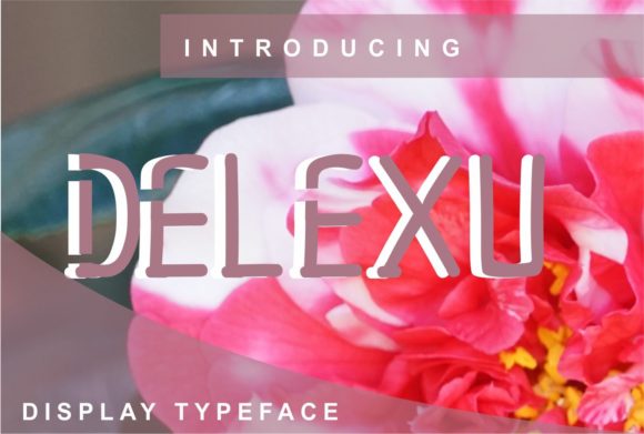 Delexu: A Clean Display Font for Professional Branding