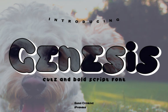Genesis Font for Professional and Friendly Branding